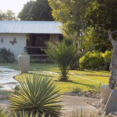 Eldorado Guest House & Camping Okaukuejo Esterno foto